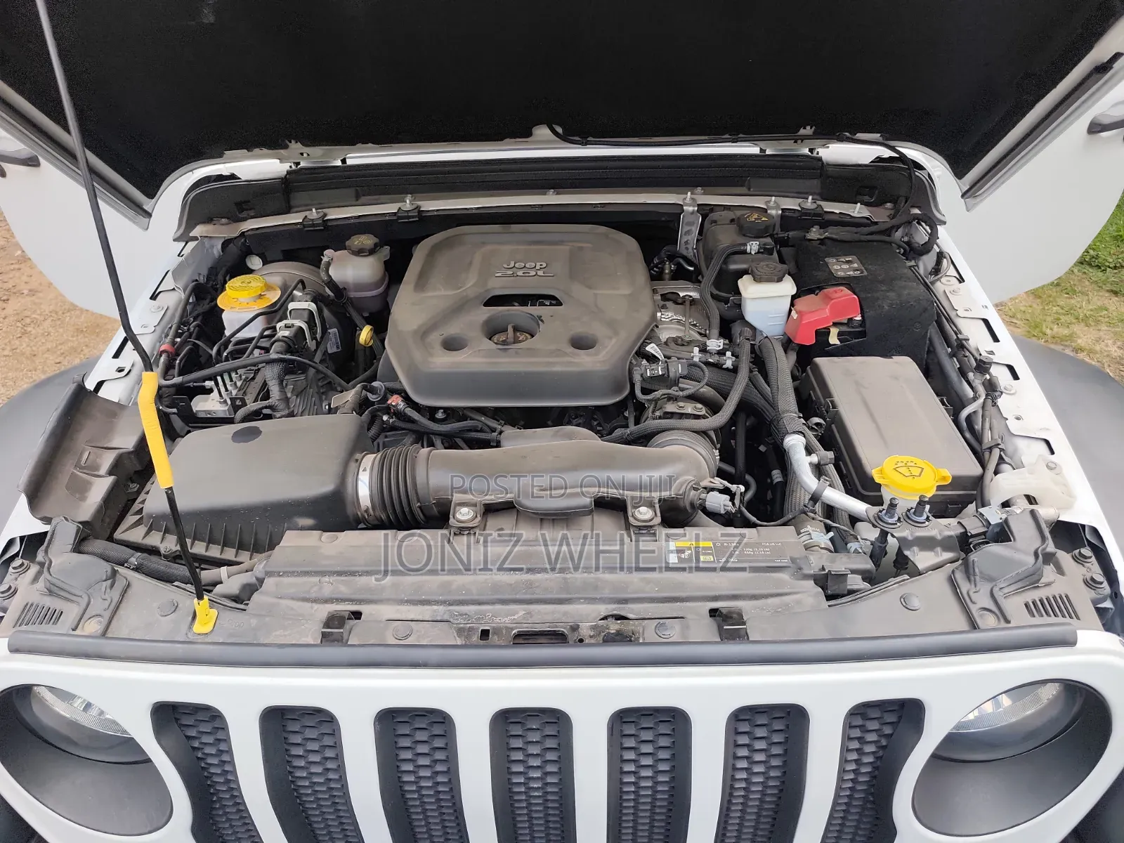 Jeep Wrangler 2019 White