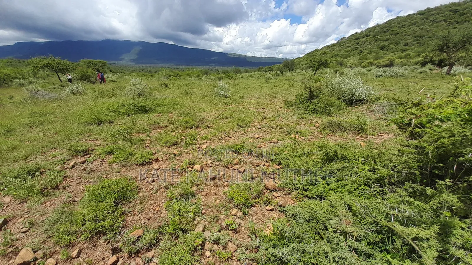 50*100 Plots for Sale
