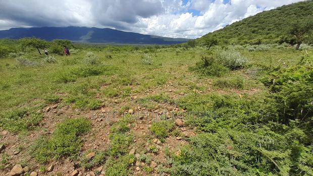 50*100 Plots for Sale