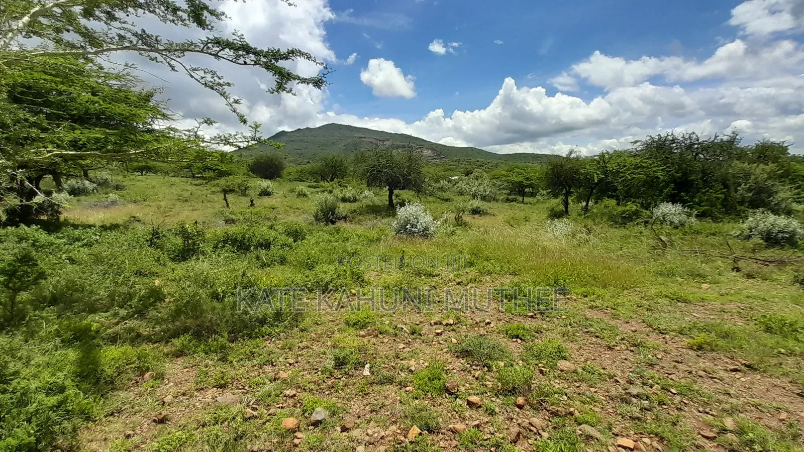 50*100 Plots for Sale