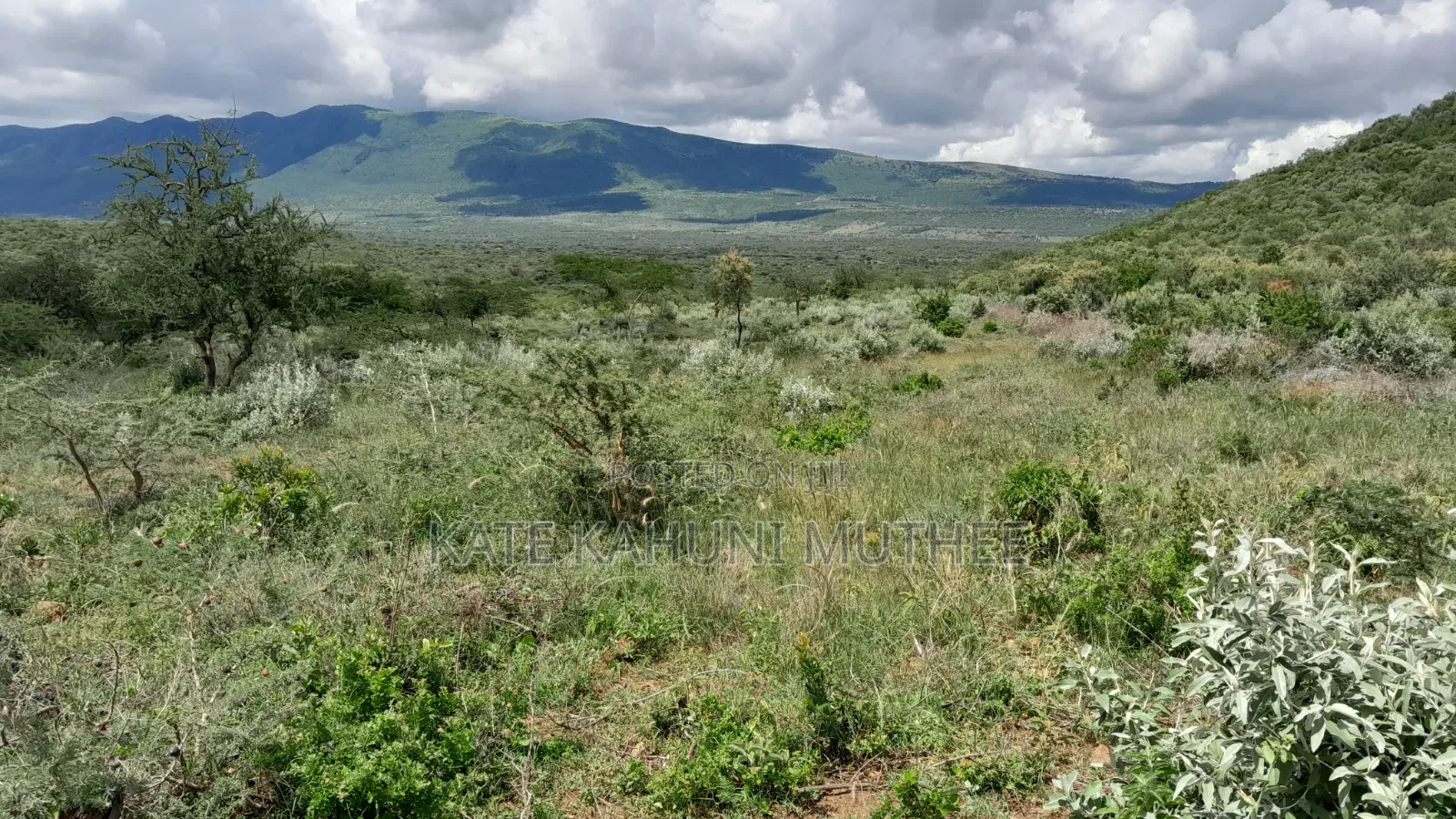 50*100 Plots for Sale