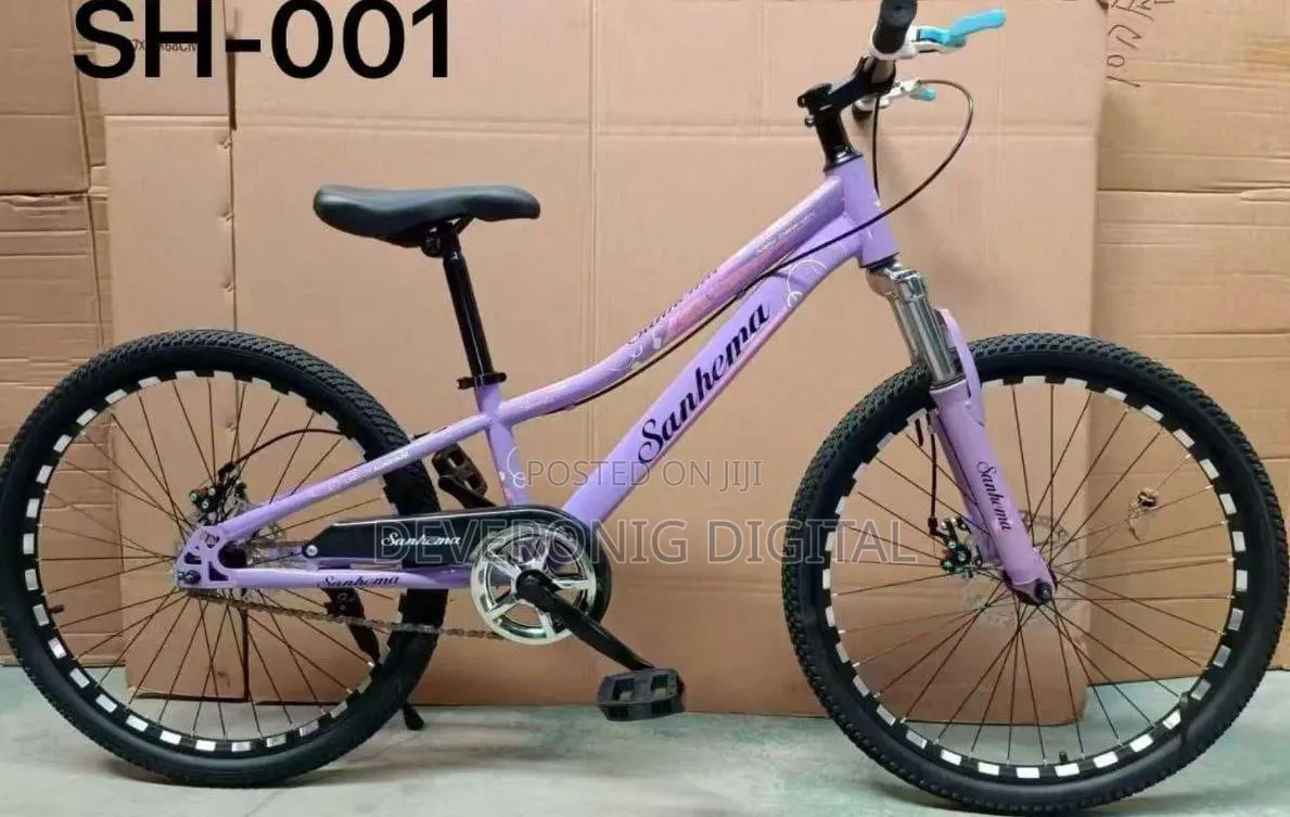 Sanhema Bike Size 24 Bicycle