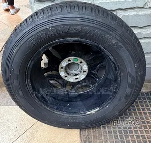 Dunlop Tyers Elegant Rims!