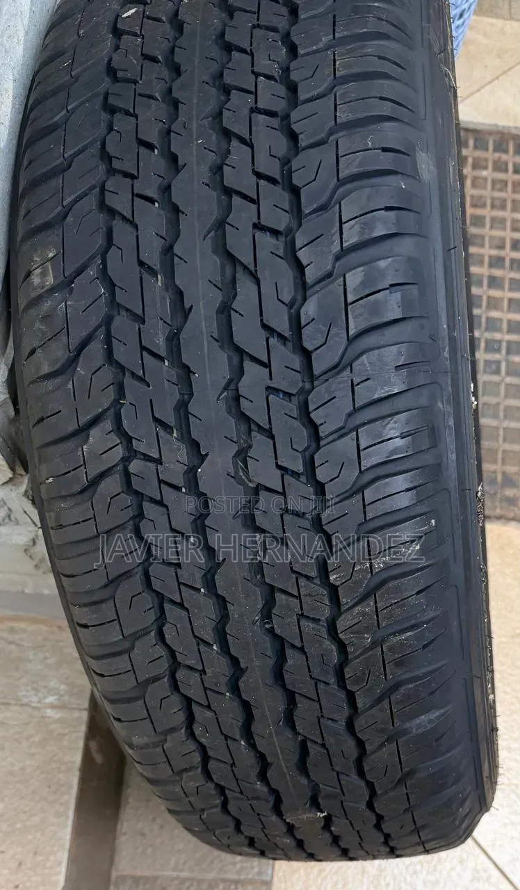 Dunlop Tyers Elegant Rims!