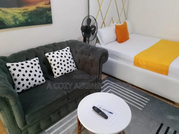 Chi Suites Airbnb Studio - main view