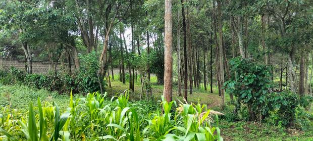 2.5 Aacre Land for Sale - main view