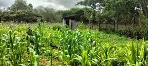 2.5 Aacre Land for Sale