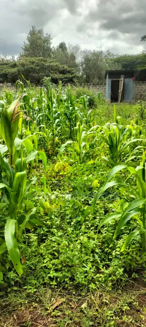 2.5 Aacre Land for Sale