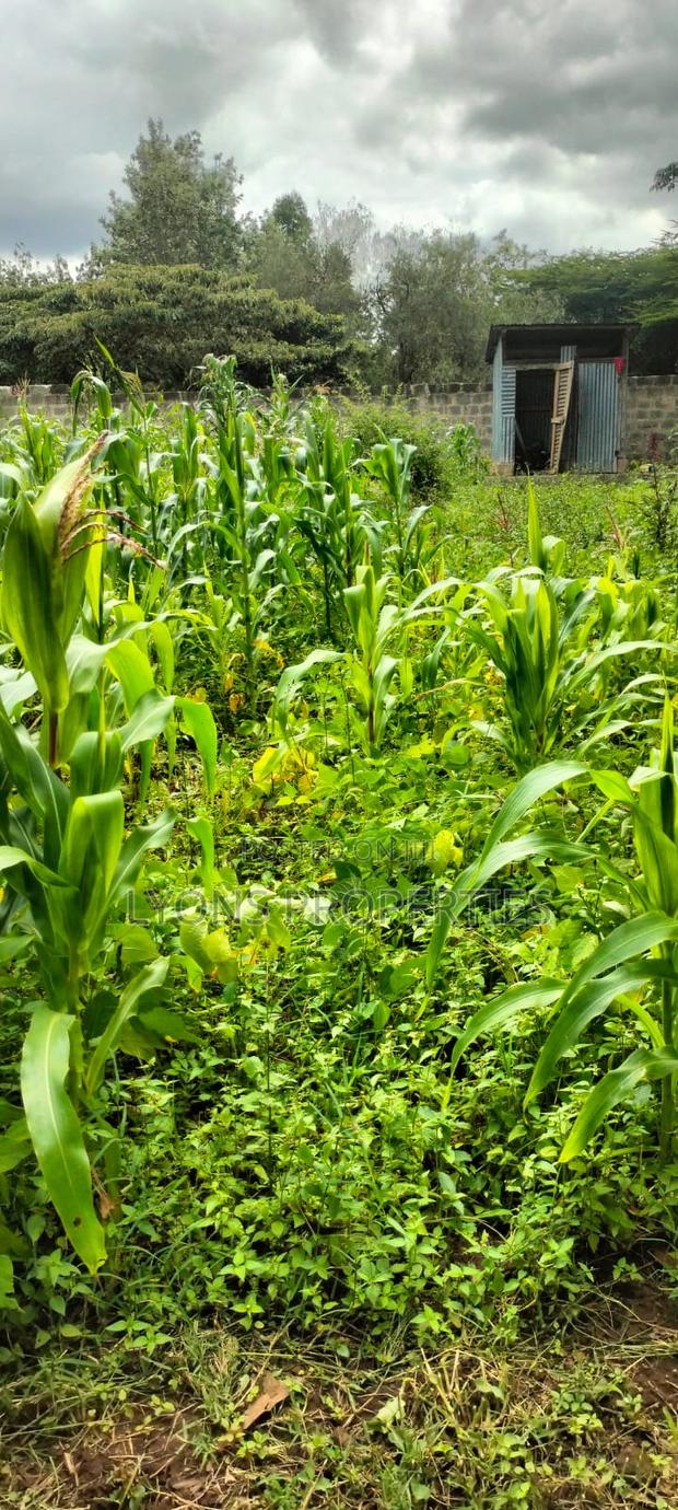 2.5 Aacre Land for Sale - thumbnail 3