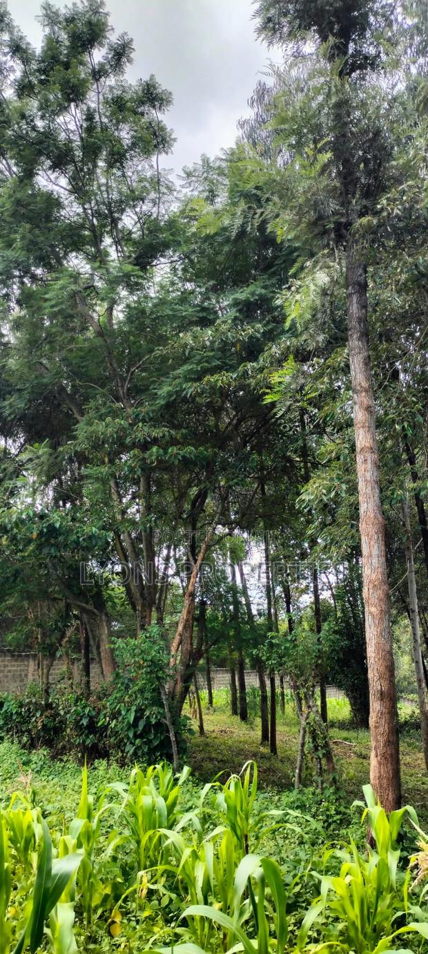 2.5 Aacre Land for Sale - thumbnail 4