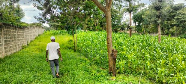 2.5 Aacre Land for Sale - thumbnail 7