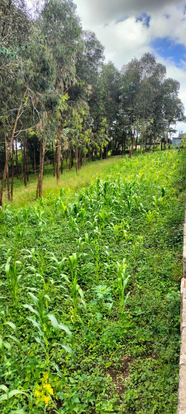 2.5 Aacre Land for Sale - thumbnail 5