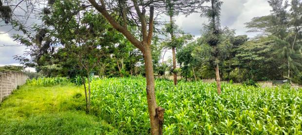 2.5 Aacre Land for Sale - thumbnail 6
