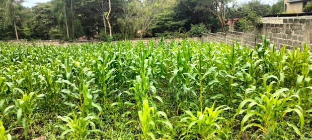 2.5 Aacre Land for Sale - thumbnail 8