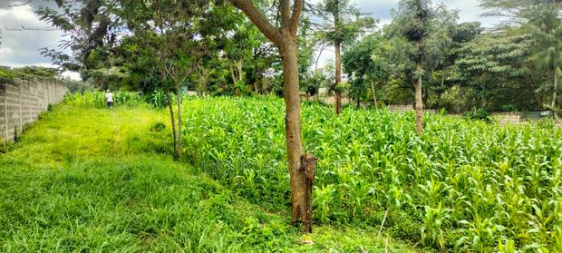 2.5 Aacre Land for Sale - thumbnail 9