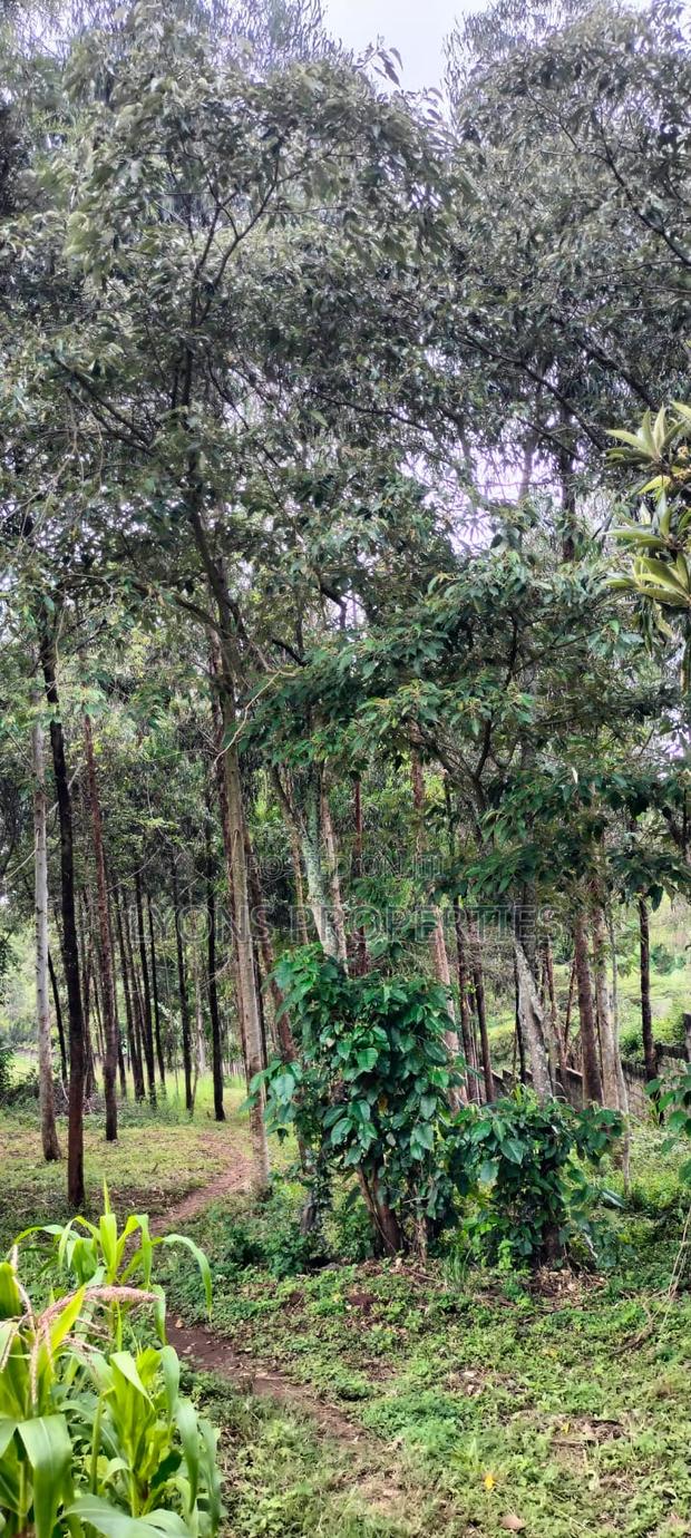 2.5 Aacre Land for Sale - thumbnail 11