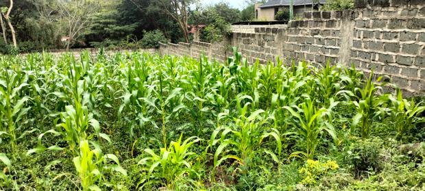 2.5 Aacre Land for Sale - thumbnail 12