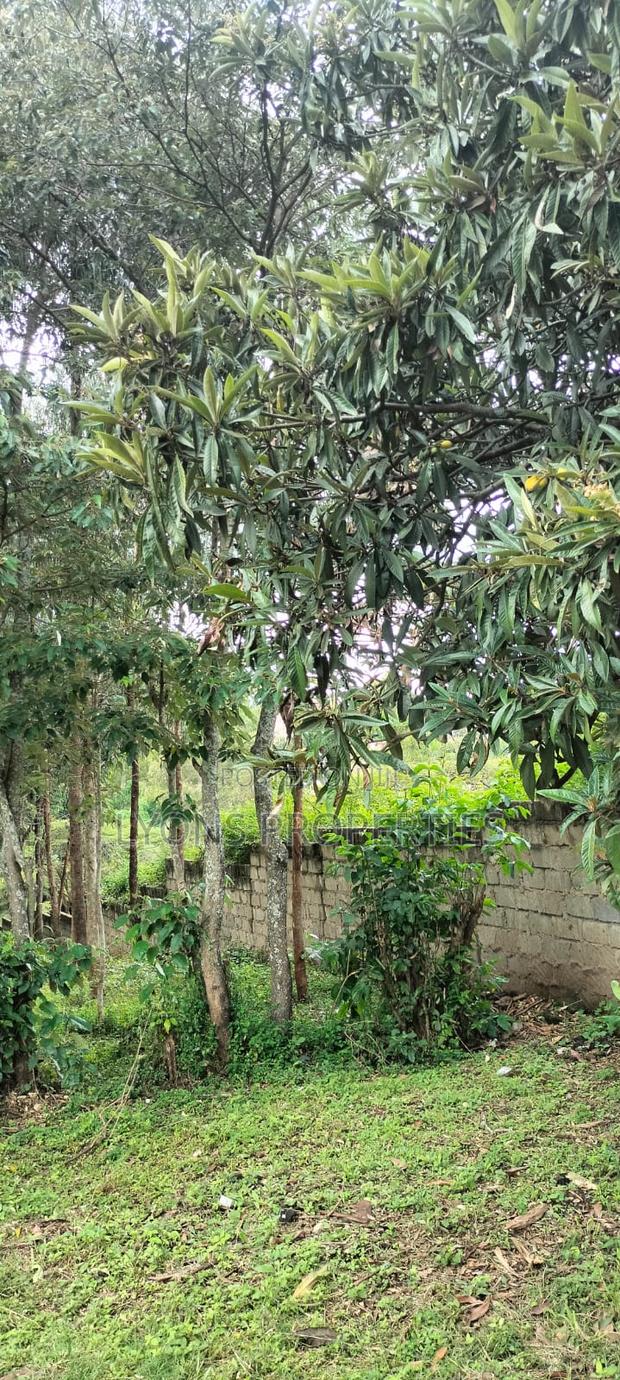 2.5 Aacre Land for Sale - thumbnail 14