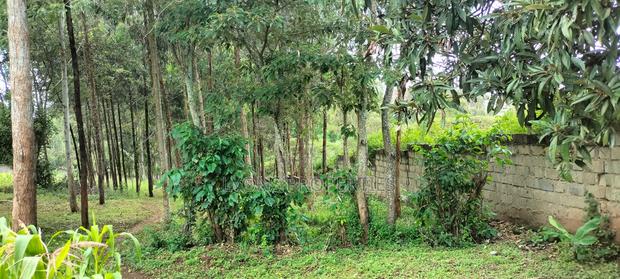 2.5 Aacre Land for Sale - thumbnail 15