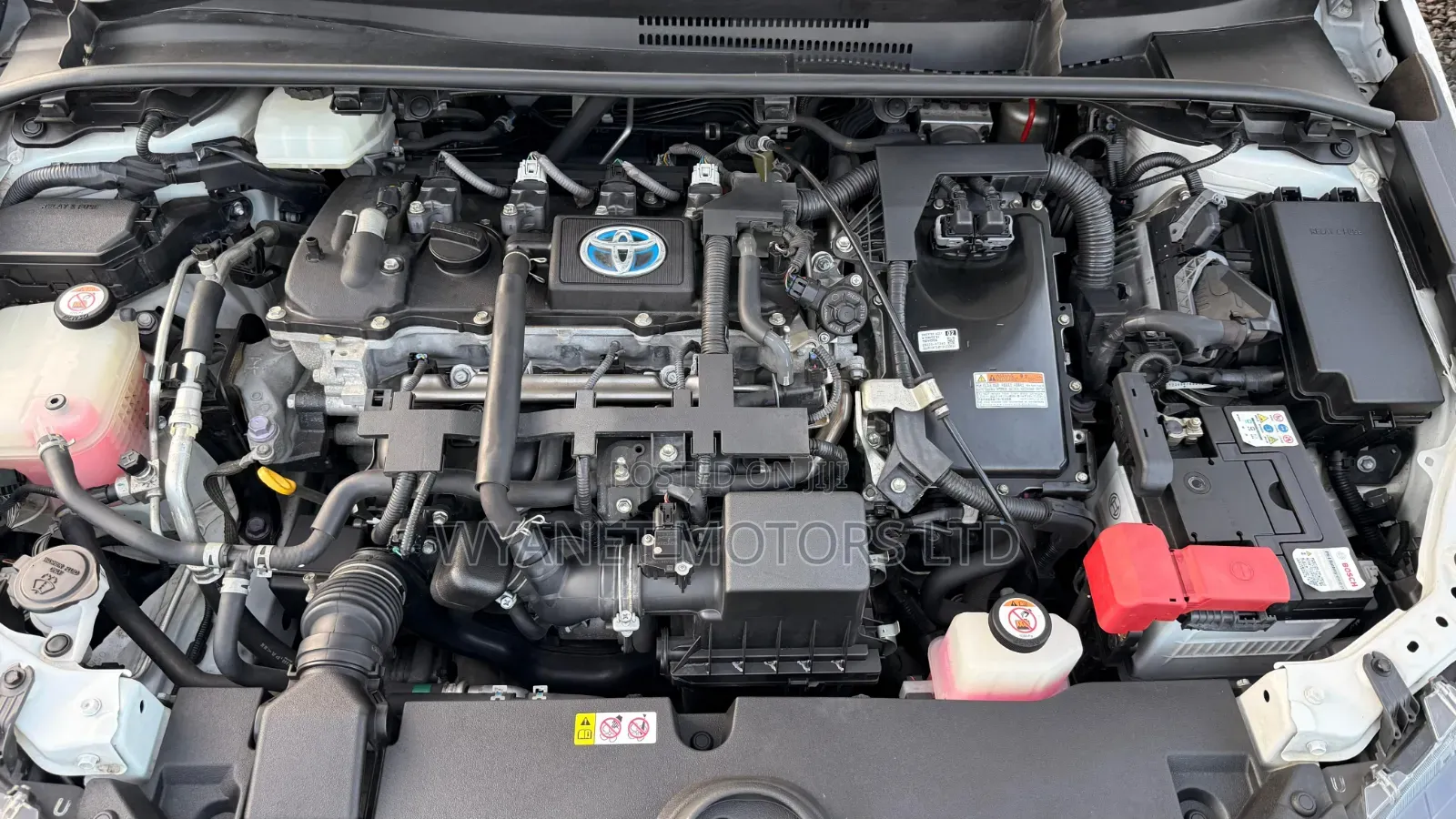 Toyota Corolla LE Eco (1.8L 4cyl 2A) 2019 White