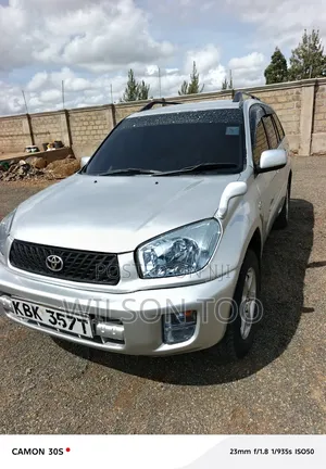 Toyota RAV4 2007 Gray