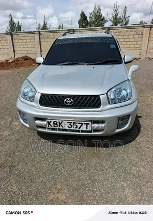 Toyota RAV4 2007 Gray