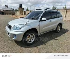 Toyota RAV4 2007 Gray