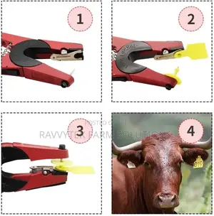 Ear Tag Applicators/ Pliers