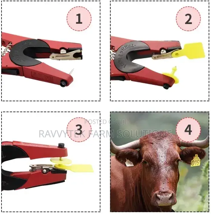 Ear Tag Applicators/ Pliers