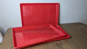 Rectangle Chick Feeding Trays