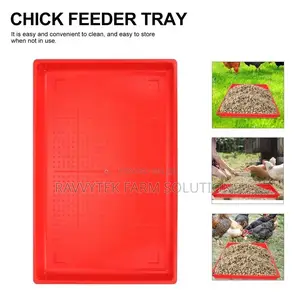 Rectangle Chick Feeding Trays