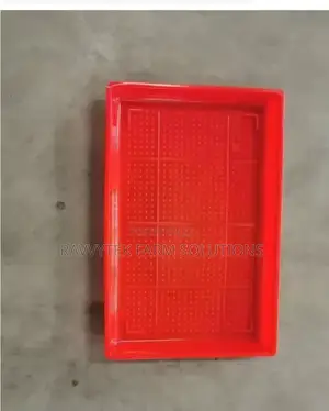 Rectangle Chick Feeding Trays