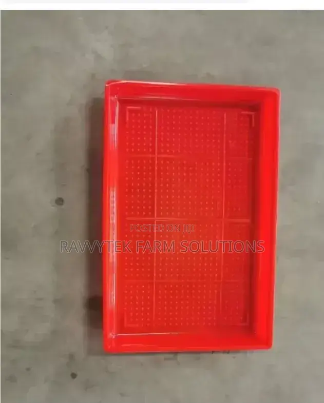 Rectangle Chick Feeding Trays