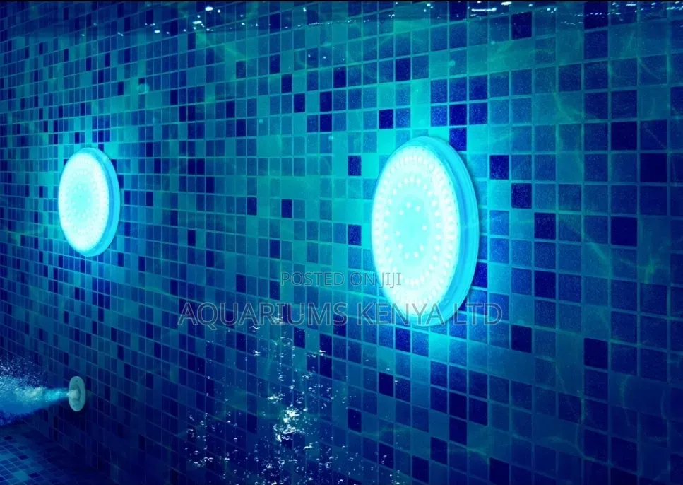Swimming Pool With Good Ambient Lighting , Construction Contractor
