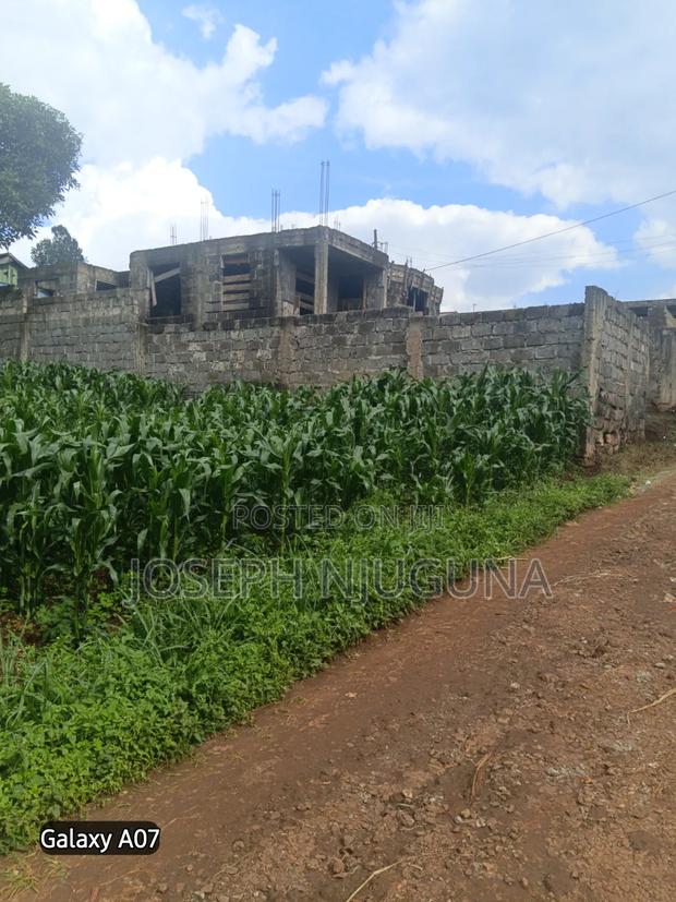 Banana Njiku Plot