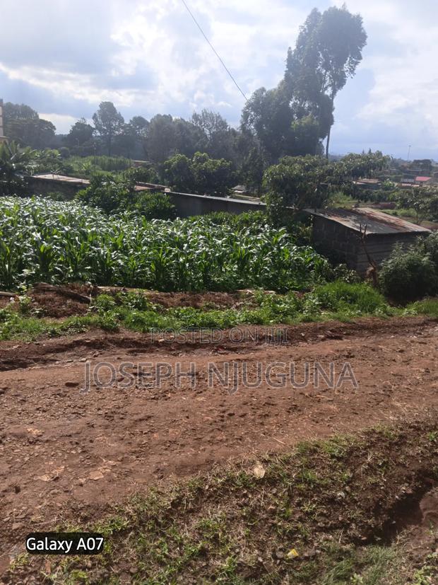 Banana Njiku Plot - thumbnail 2