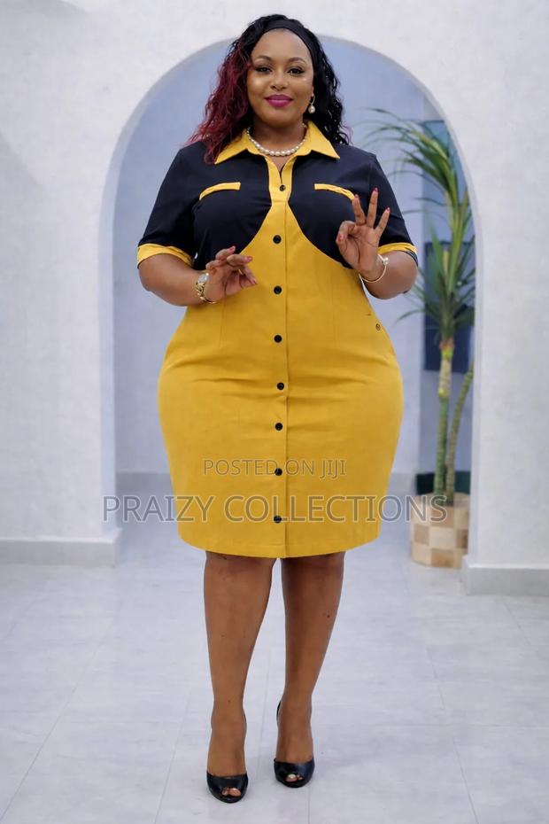 Buttoned Down Shirt Dress