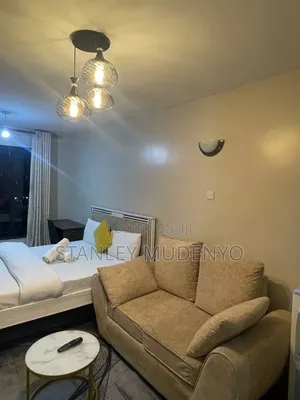 Affordable Studio Air BNB in Utawala Astrol, Shooters Naivas Aptc
