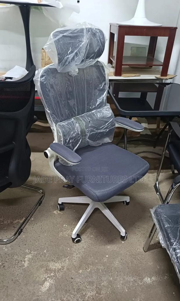 Executive Office Chair Adjustable Arms