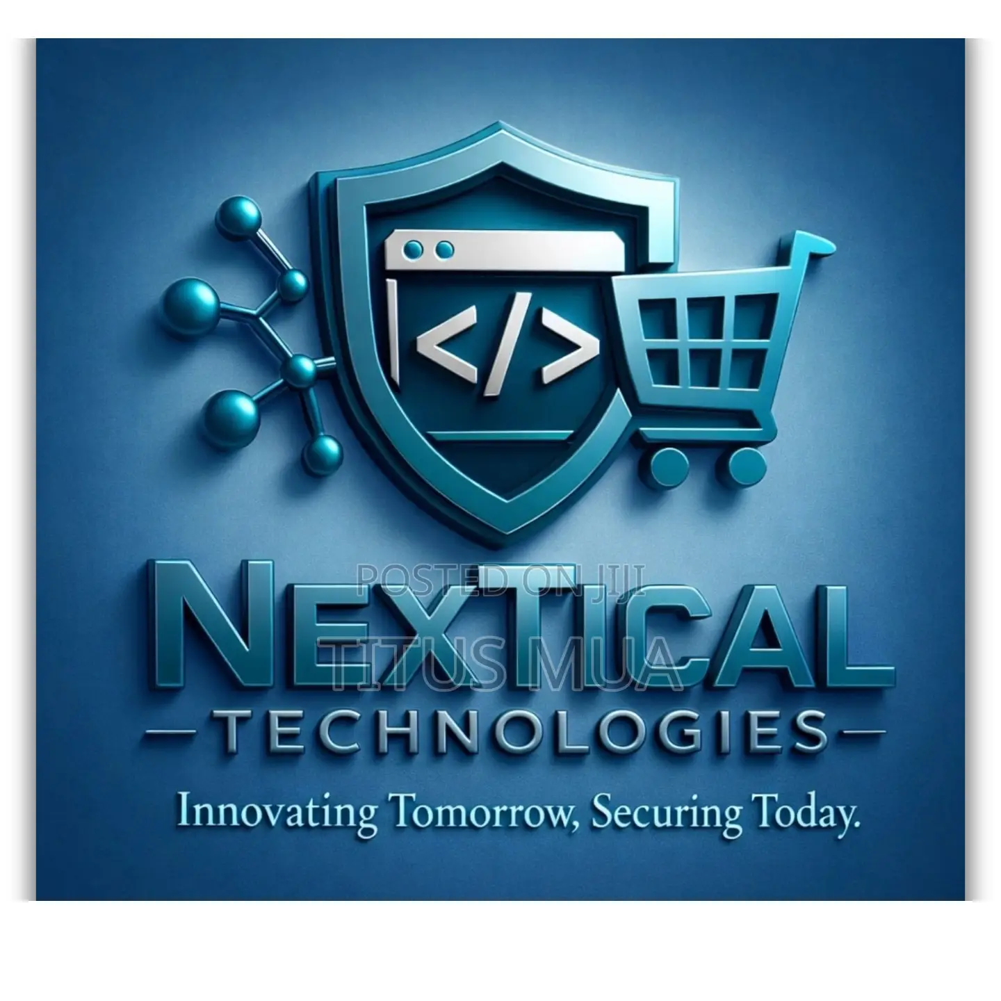 Website Developer