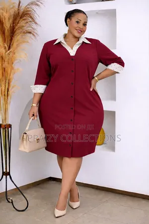 Shirt Dress With Dotted Collar