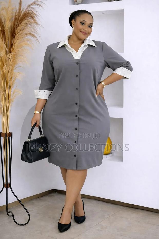 Shirt Dress With Dotted Collar - thumbnail 4