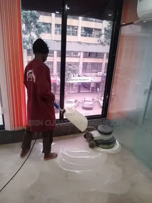 Cleaning of Cars,Cabro,House and Pest Control Services