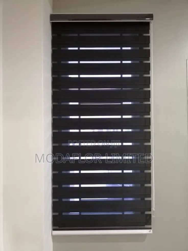 Zebra Blinds for Home, Office and Interior Window Design Use