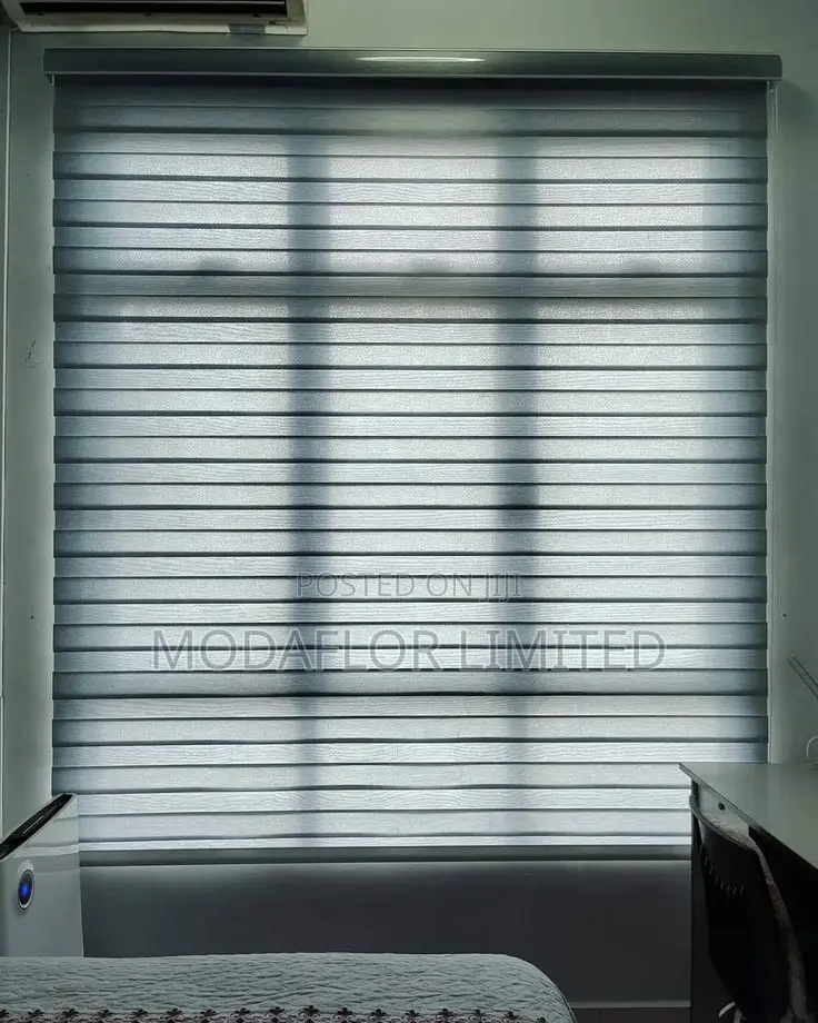 Zebra Blinds for Daylight Control and Privacy Window Use Areas