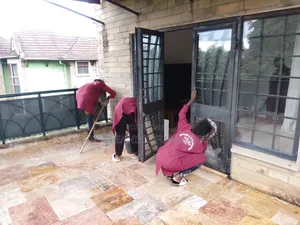 Popular Cleaning of Mattress,Sofa Kitchen