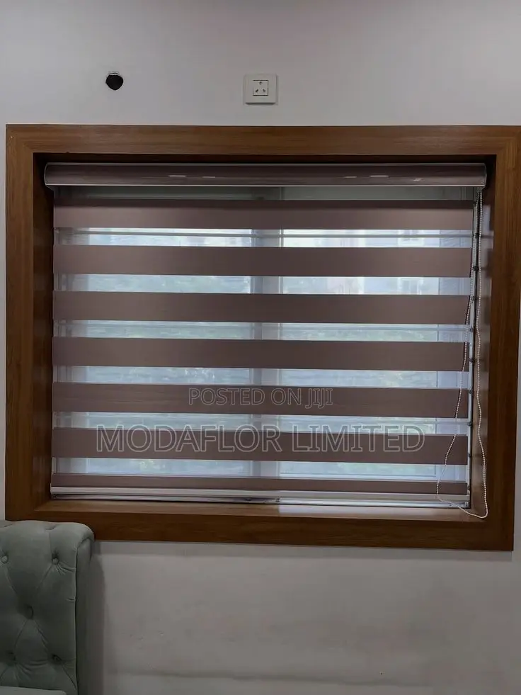Zebra Blinds for Adjustable Light and Privacy Window Use Areas