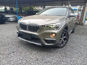 BMW X1 2019 Gray