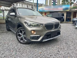 BMW X1 2019 Gray