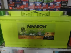 Battery Din100 Amaron